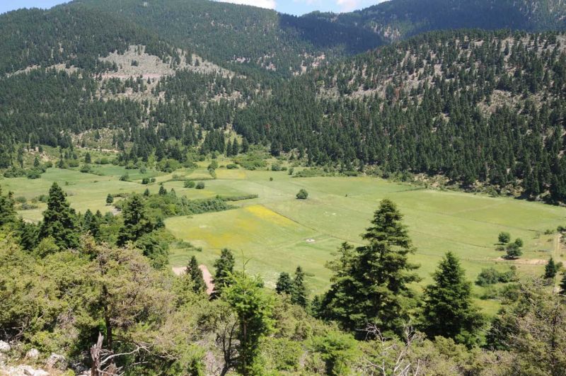 Βάλτος: Το μεγαλείο της φύσης στο “ορμητήριο” των Κλεφτών 24/04/2020 , 8:51