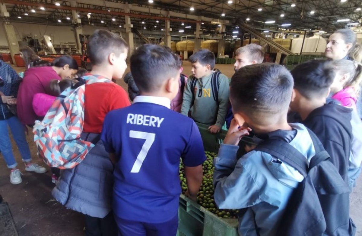 Μάθημα βιώσιμης ανάπτυξης στο εργοστάσιο ελιών