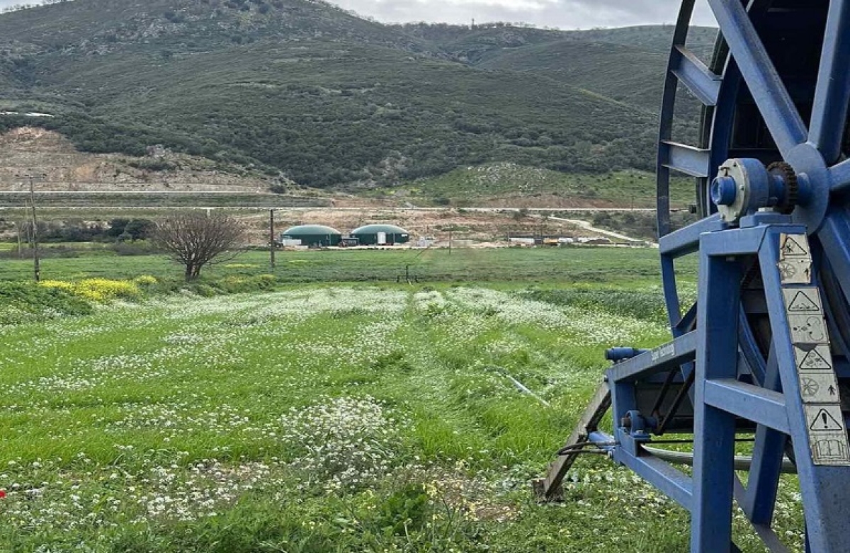 Φόρουμ για το Μέλλον της Γεωργίας 2023