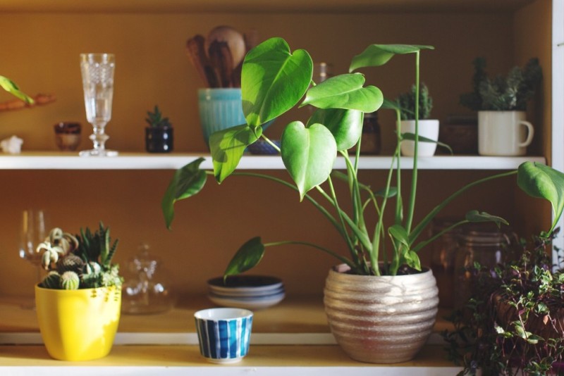 7+1 πράγματα που φέρνουν κακή τύχη μέσα στο σπίτι