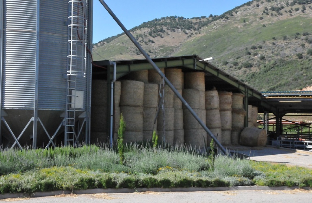 Διατήρηση μεθόδων βιολογικής γεωργίας και κτηνοτροφίας 2023 - 2027