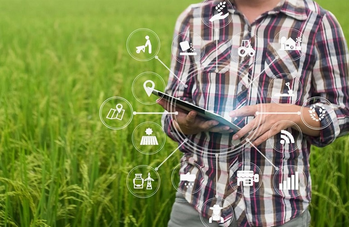 Γεφύρωση του ψηφιακού χάσματος αστικών και αγροτικών περιοχών