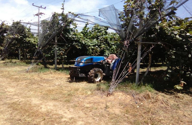 Νέες πληρωμές 1,97 εκατ. ευρώ από τον ΟΠΕΚΕΠΕ