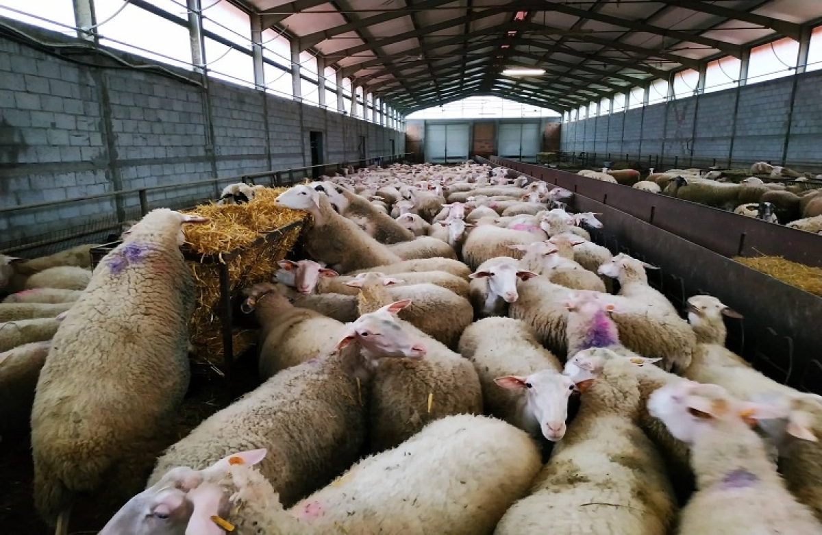 Μέτρο 22: εγκρίθηκε η διάθεση ακόμη 7 εκατομμυρίων ευρώ