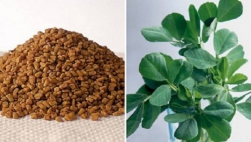 &quot;Θαύμα&quot; της Φύσης: Ο καρπός που αυξάνει φυσικά το στήθος και αδυνατίζει