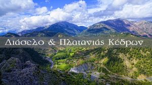 Διάσελο και Πλατανιάς Κέδρων Ευρυτανίας (Βίντεο)