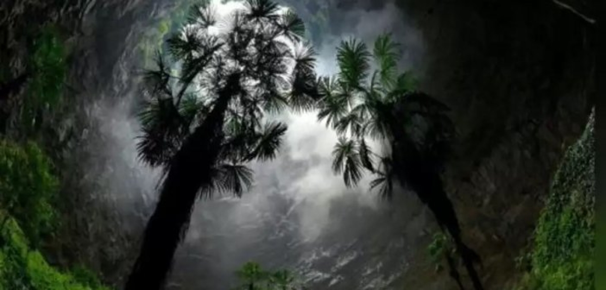 Ένα γεωλογικό θαύμα αποκαλύφθηκε στην Κίνα – Παρθένο δάσος αναδύθηκε από τα έγκατα της γης