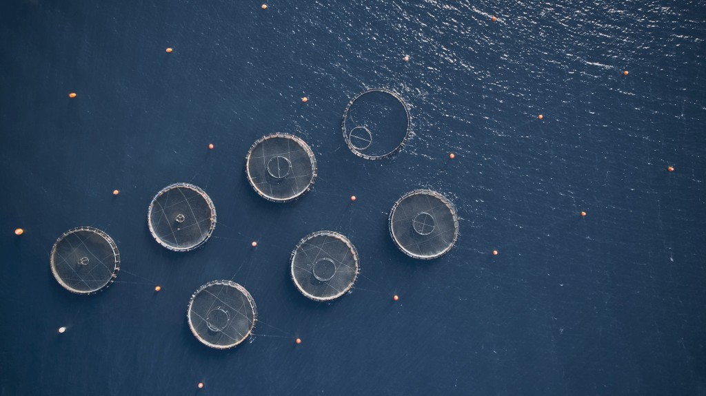 Ελληνική Οργάνωση Παραγωγών Υδατοκαλλιέργειας (ΕΛΟΠΥ):  10η έκδοση της Ετήσιας Έκθεσης Υδατοκαλλιέργειας 2024