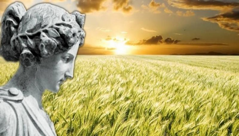 Η 6000 ετών συνταγή με την οποία οι αρχαίοι Έλληνες αντιμετώπιζαν τα τριγλυκερίδια και πολλές άλλες ασθένειες