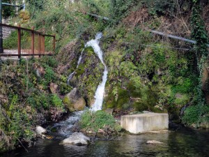 Τριχωνίδα: Πώς ένα μικροσκοπικό σαλιγκάρι δημιουργεί πιθανή σύνδεση με τη Λίμνη Οχρίδα στη Βόρεια Μακεδονία