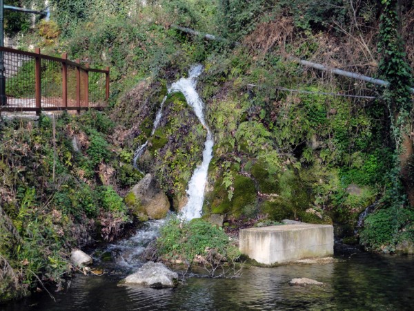 Τριχωνίδα: Πώς ένα μικροσκοπικό σαλιγκάρι δημιουργεί πιθανή σύνδεση με τη Λίμνη Οχρίδα στη Βόρεια Μακεδονία
