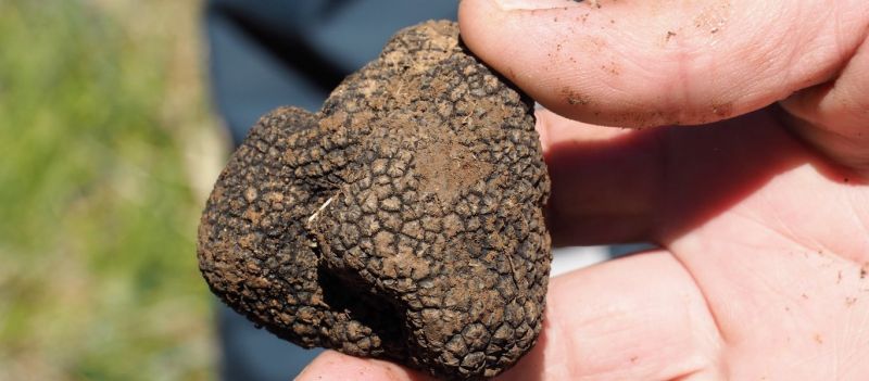 Bloomberg: Ο «θησαυρός» που θα εκτοξεύσει την οικονομία της Ελλάδας και τι έλεγαν οι Αρχαίοι (φωτό)