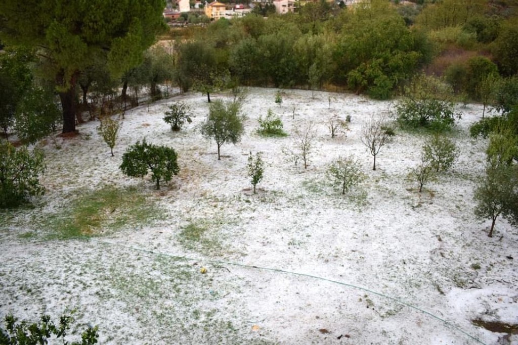 Αγρίνιο - ΕΛΓΑ: Δύσκολα τα πράγματα με τις αποζημιώσεις των αγροτών