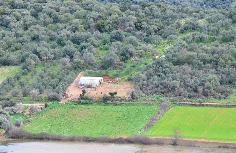 Εκκαθάριση πληρωμής αιτήσεων δικαιούχων του Μέτρου 11 «Βιολογικές Καλλιέργειες»