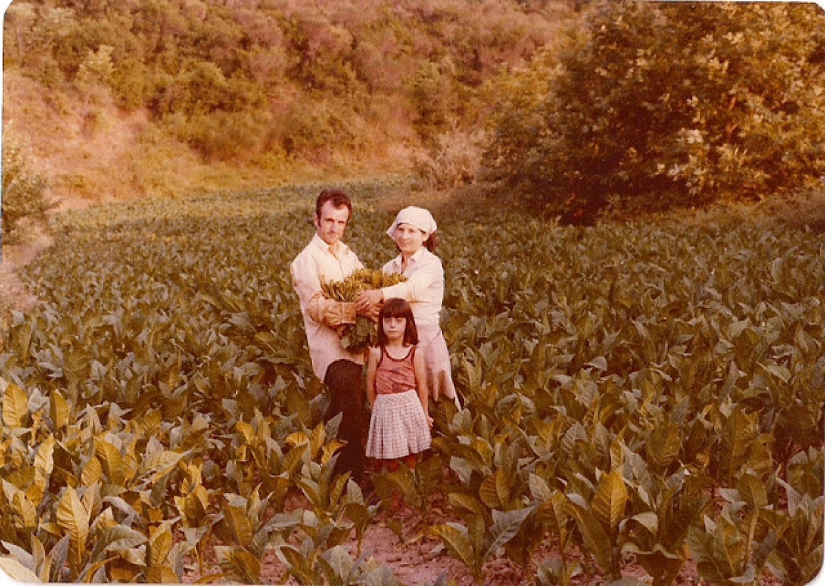 Για όσους έζησαν και θυμούνται τα καπνά….