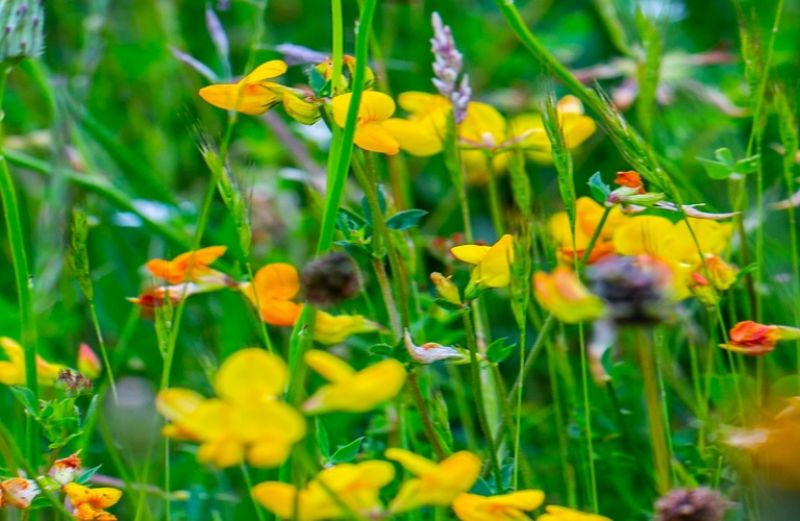 Πληρωμή 791.569 ευρώ από ΟΠΕΚΕΠΕ