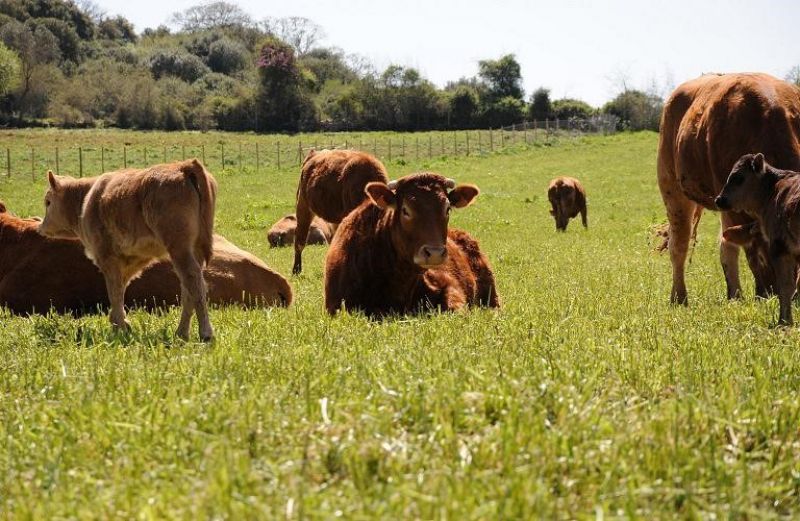 Προκήρυξη για τα Σχέδια Βελτίωσης  προϋπολογισμού 316 εκατ. ευρώ