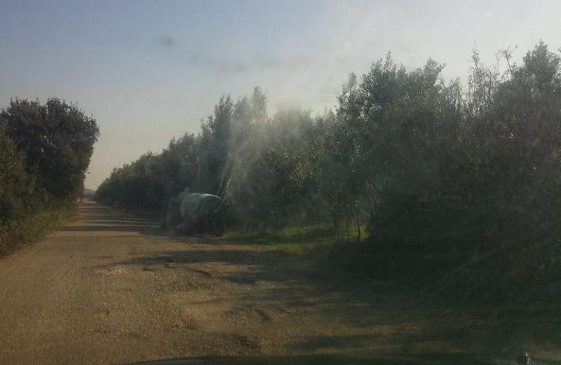 Δακοκτονία 2020: η Διακήρυξη για την προμήθεια δακοκτόνων υλικών