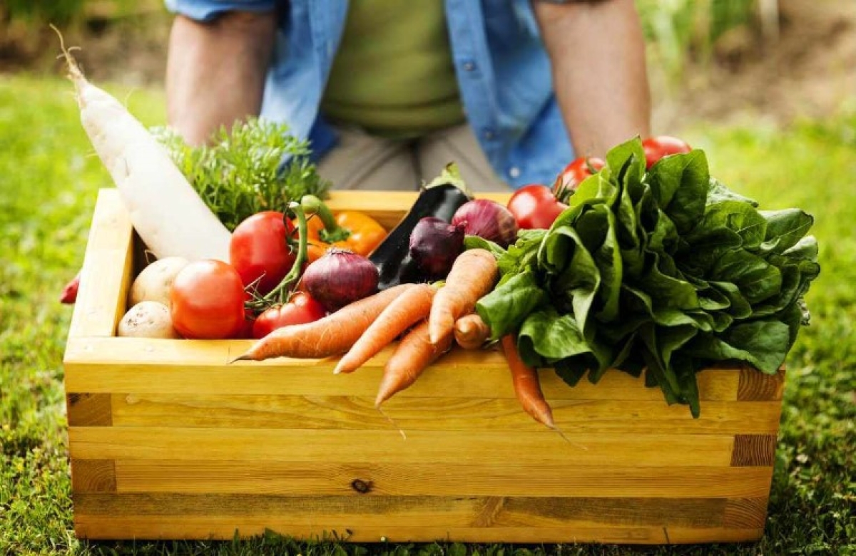 Greek Farms: η ψηφιακή εκμετάλλευση του Έλληνα αγρότη