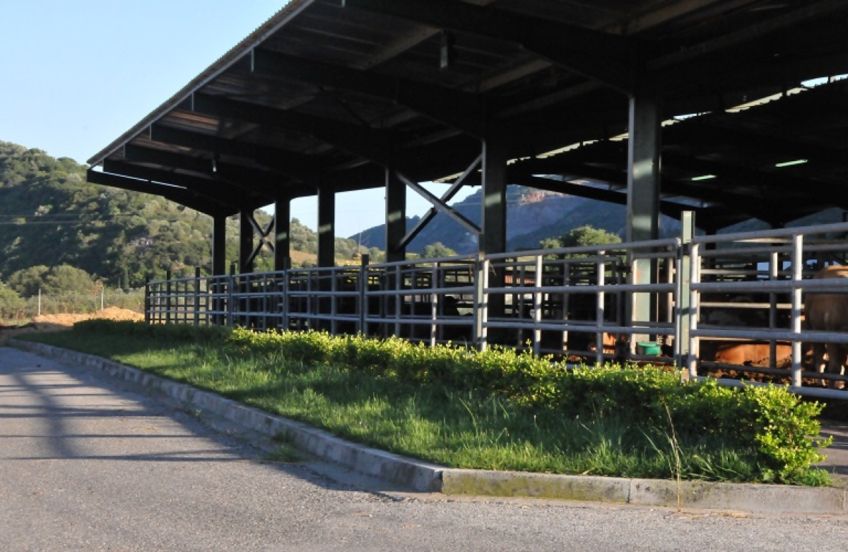 Σχέδια Βελτίωσης: πήρε ΦΕΚ η απόφαση - αναλυτικές πληροφορίες