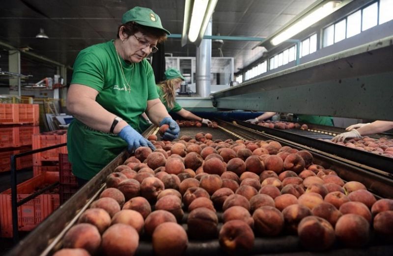 Μεταποίηση γεωργικών προϊόντων, με επιπλέον 28 εκατ. ευρώ