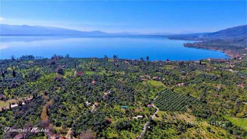 Πεζοπορία στη Μυρτιά την Κυριακή (26/3/2017)