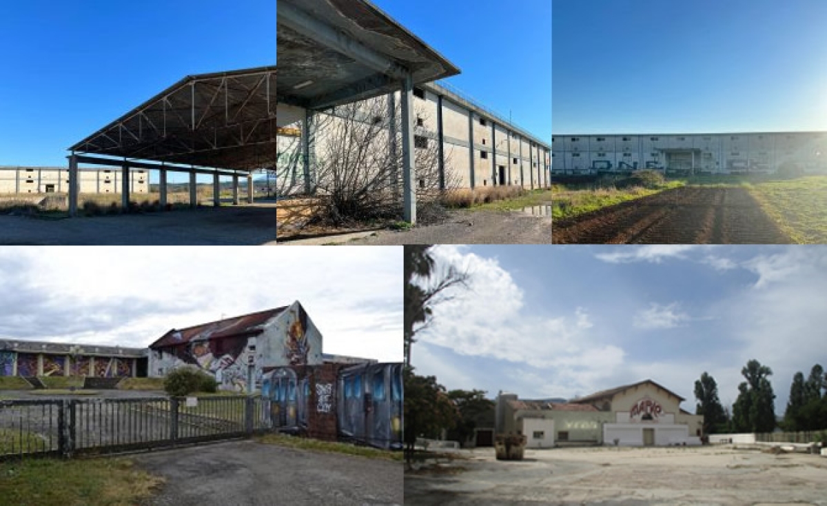 STREET ART CITY: Η πρακτική επαναχρησιμοποίησης ενός βιομηχανικού χώρου (του Ανδρέα Σκαρτσάρη)