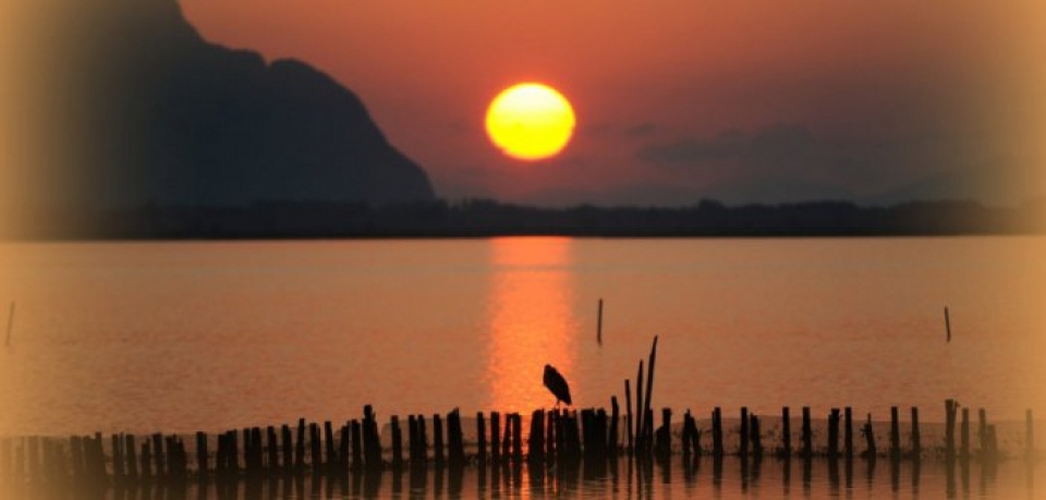 Ανατολή στη λιμνοθάλασσα Μεσολογγίου (φωτο)