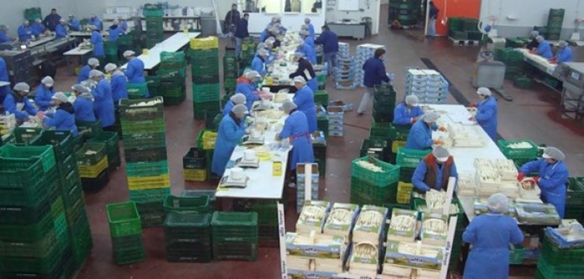 Αγρίνιο: Πρόσληψη εποχικών εργατών στον Αγροτικό Συνεταιρισμό Νεάπολης