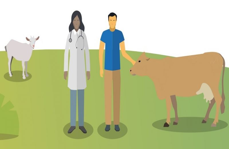 Κτηνιατρικά Φαρμακευτικά Προϊόντα και Μικροβιακή Αντοχή