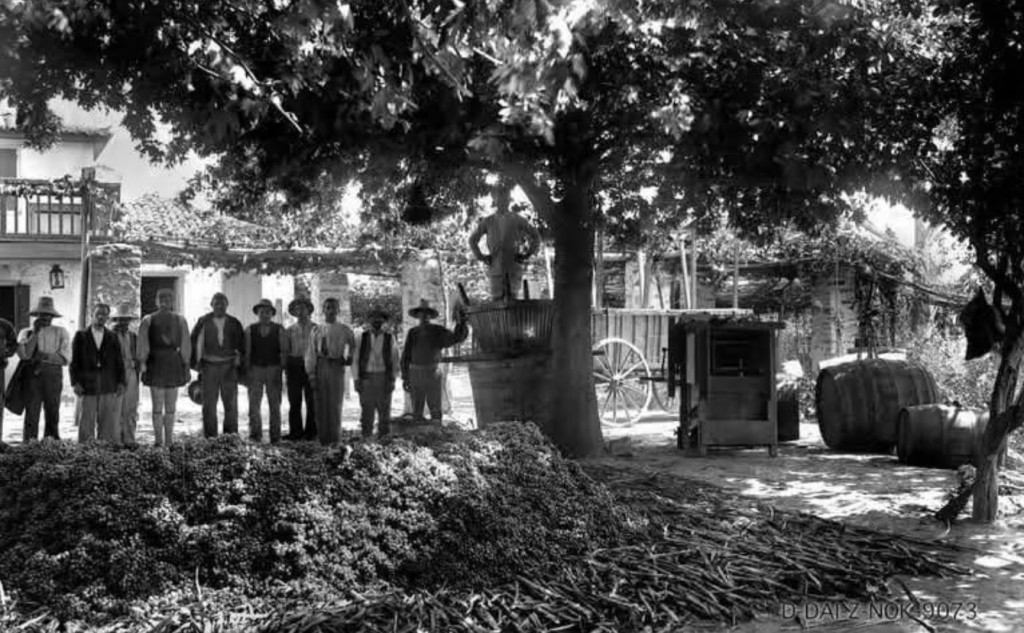 Ο Διόνυσος, ο βασιληάς της Αιτωλίας Οινέας, η άμπελος και ο οίνος