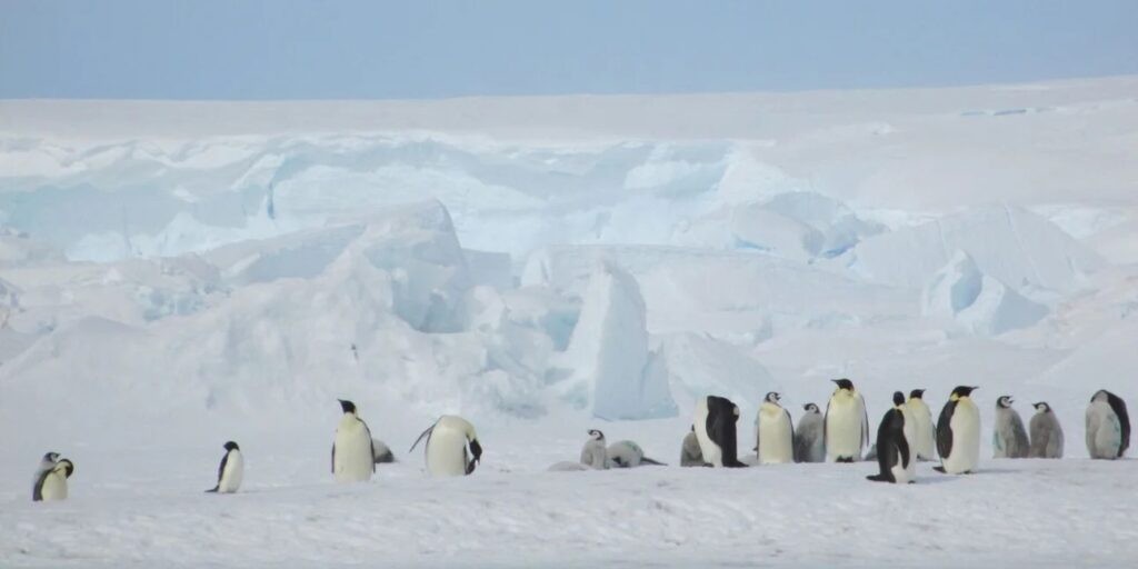 Τι θα κάνουν Έλληνες επιστήμονες στην Ανταρκτική -Αναχωρούν δύο ερευνητές, τι ετοιμάζεται