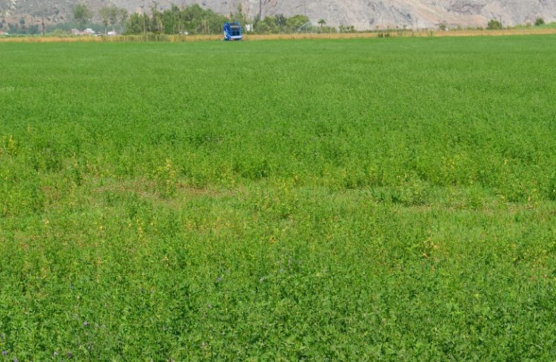 2,8 εκατ. ευρώ η νέα πληρωμή του ΟΠΕΚΕΠΕ