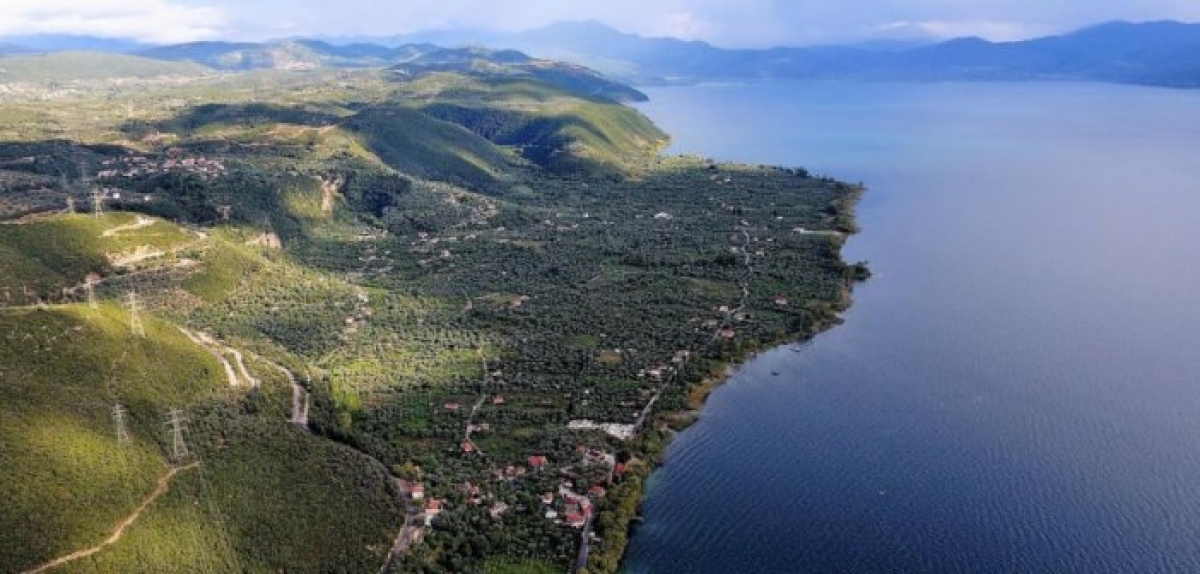 Τριχωνίδα – Λυσιμαχεία: Η βάση της ανάπτυξης
