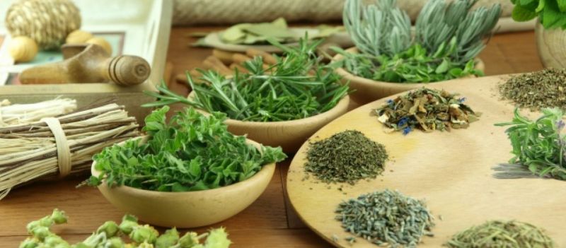 Το ελληνικό βότανο που θεραπεύει από τα προβλήματα όρασης