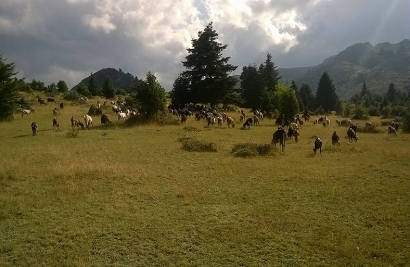 Εξισωτική, βιολογικά και άλλες πληρωμές