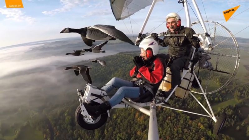 Η εμπειρία να πετάς με σμήνος πουλιά (Βίντεο)