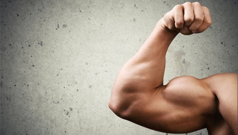 Με ποιες 10 τροφές μπορείτε να «χτίσετε» μυς