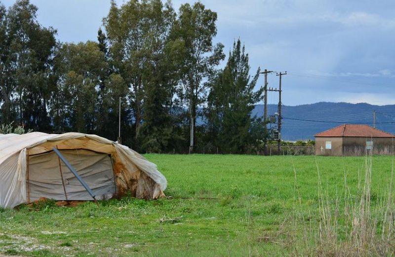 Διόρθωση προφανών σφαλμάτων για τα Βιολογικά
