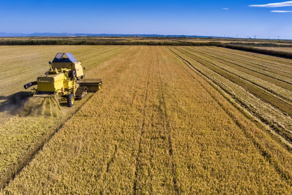 ΟΠΕΚΕΠΕ: Έως 4 Οκτωβρίου οι αιτήσεις της Ενιαίας Αίτησης Ενίσχυσης 2024