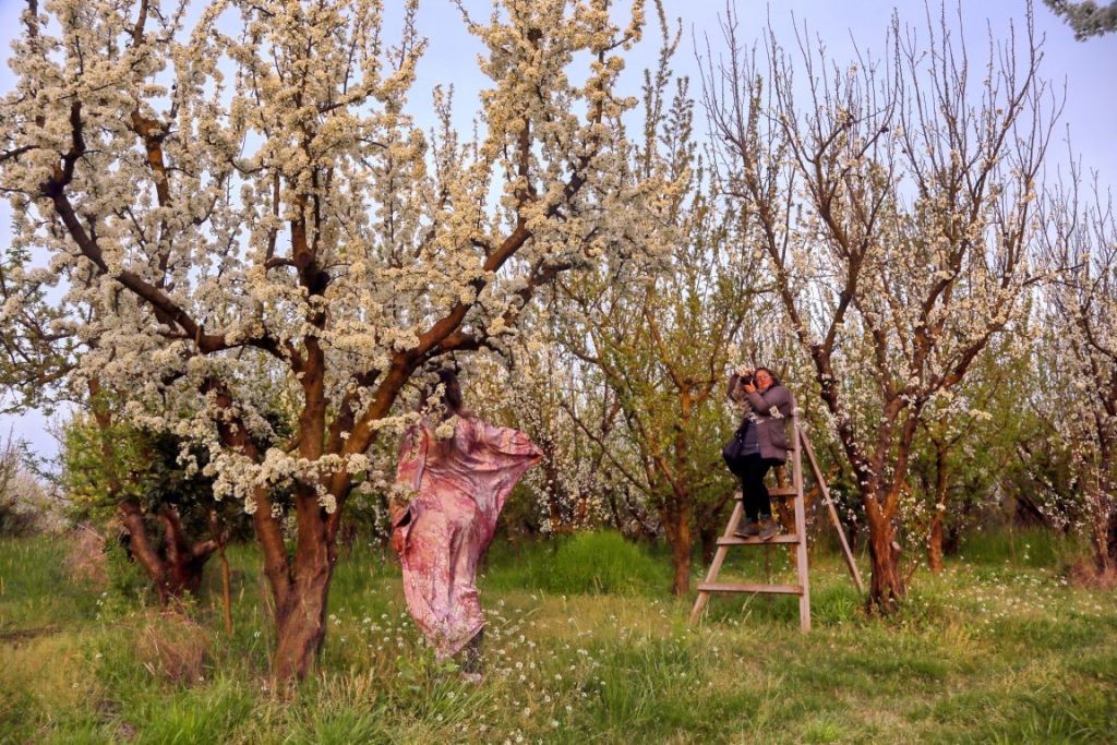 Η Φωτογραφική Λέσχη Μεσολογγίου φωτογραφίζει την Άνοιξη σε δεντρόκηπο στα Καλύβια