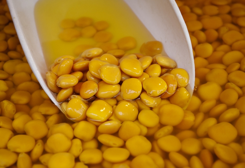 Λούπινο, το «κρέας του φτωχού» που καλλιεργούνταν στην Αιτωλοακαρνανία: δίνει 400 ευρώ το στρέμμα