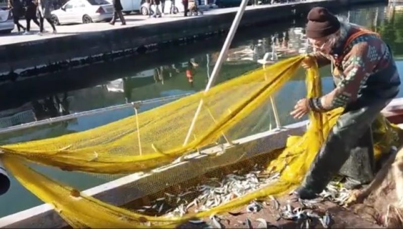 Αμφιλοχία,η πεντανόστιμη σαρδέλα του Αμβρακικού (video)