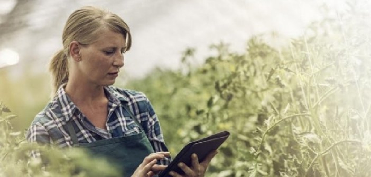 Νέοι Αγρότες: 63.177.000 ευρώ στη Δυτική Ελλάδα