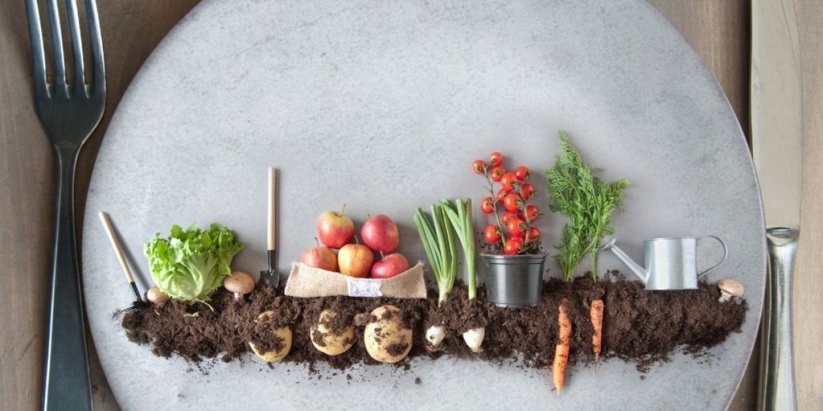 Plant Based Διατροφή