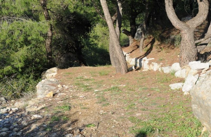 Προωθούνται νομοθετικές ρυθμίσεις για τους Δασικούς Χάρτες