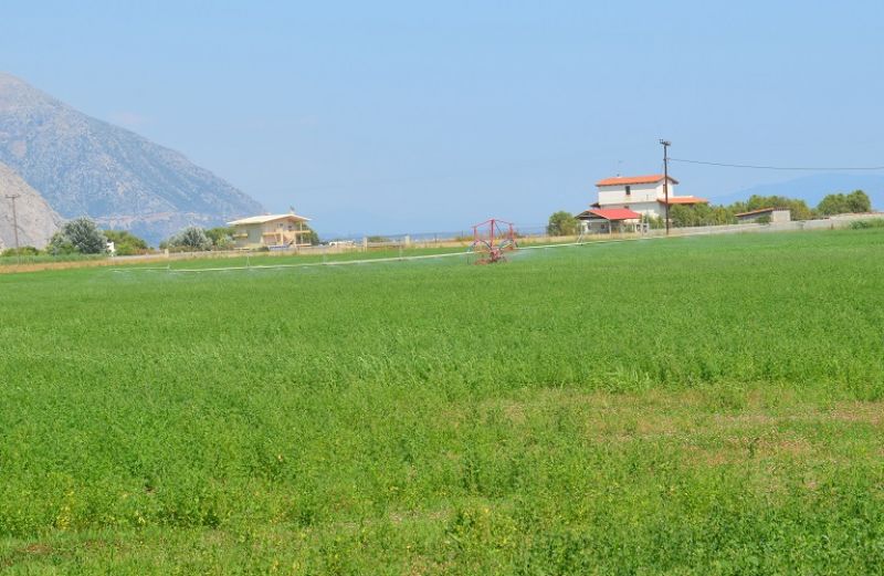 8,8 εκατ. ευρώ η νέα πληρωμή του ΟΠΕΚΕΠΕ