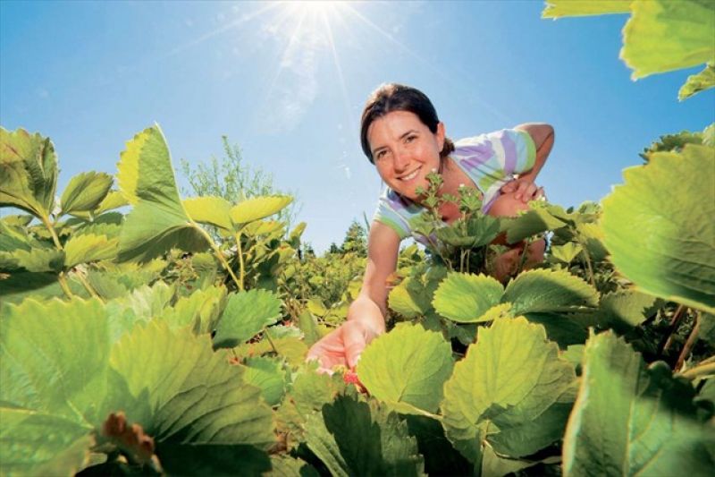 Νέα ευκαιρία επιδότησης για πτυχιούχους και επιχειρήσεις