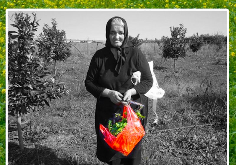 ΜΑΡΙΑ Ν. ΑΓΓΕΛΗ: Πάμε για λάχανα; Λαχανάδες, λαχανούδες και άγρια λάχανα…