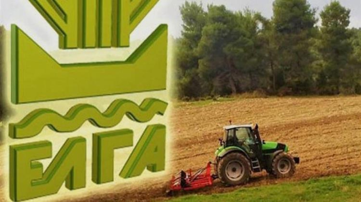 Αποζημιώσεις 110 εκ. ευρώ καταβάλλονται από τον ΕΛΓΑ - Οι υψηλότερες που έχουν δοθεί μέχρι σήμερα